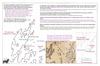 coo1d49 durville island_thumb.gif